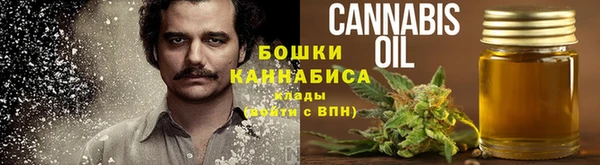 амф Каменка