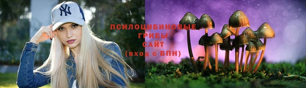 a pvp Каменск-Шахтинский