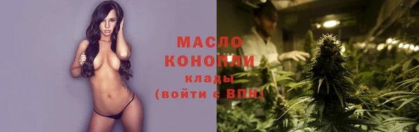 амф Каменка