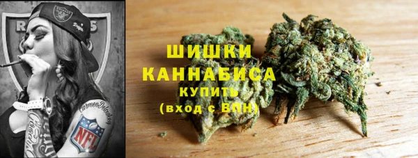 амф Каменка