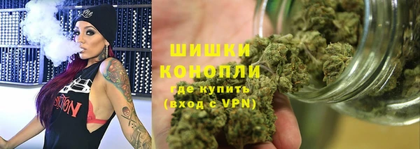 амф Каменка