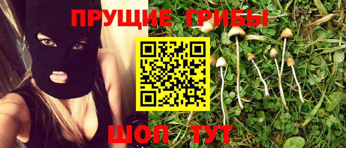 Псилоцибиновые грибы прущие грибы  Вход с VPN  Галлюциногенные грибы GOLDEN TEACHER  Чебаркуль 