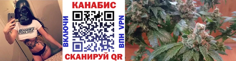 Конопля Amnesia  как найти   Чебаркуль 